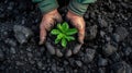 a miner& x27;s hands delicately planting a green plant amidst a coal heap, a commitment to environmental stewardship