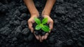 a miner& x27;s hands delicately planting a green plant amidst a coal heap, a commitment to environmental stewardship