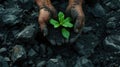 a miner& x27;s hands delicately planting a green plant amidst a coal heap, a commitment to environmental stewardship