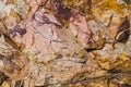Mineral colored rocks, Royalty Free Stock Photo