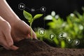 Mineral fertilizer. Woman planting young seedling into soil, closeup Royalty Free Stock Photo
