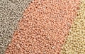 Mineral fertilizers balls Royalty Free Stock Photo