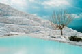 The mineral hillside of Pamukkale