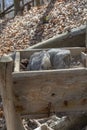 A mineral lick in the forest. Salt blocks ready for the wild animals