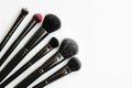 mineral makeup brushes laid out on white background