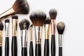 mineral makeup brushes laid out on white background