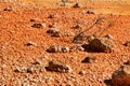 Mineral sediments in a dry lake of an old abandoned mine