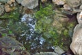 Mineral spring 5