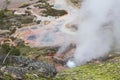 Mineral spring geyser Yellowstone