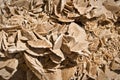 Mineral stone of the desert (sand rose) Royalty Free Stock Photo