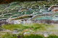Mineral terraces in Egerszalok thermal spa
