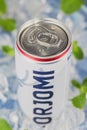 Mineral water Borjomi in an aluminum tin on the background of ice cubes and fresh mint leaves. Tasting in Minsk 20.02 Royalty Free Stock Photo