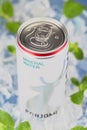 Mineral water Borjomi in an aluminum tin on the background of ice cubes and fresh mint leaves. Tasting in Minsk 20.02 Royalty Free Stock Photo