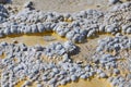 Mineralization yellowstone national park Royalty Free Stock Photo