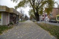 Broadway in the city center, fall foliage on the walkway, North Caucasus