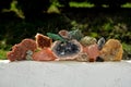 Minerals collection Royalty Free Stock Photo