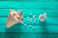 Minerals for health and beauty. Tablets of calcium, shell on a turquoise wooden table. Top view. Royalty Free Stock Photo