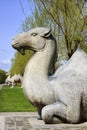 Ming Tombs: sitting camel.