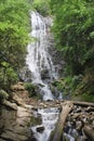 Mingo Falls and Creek in the Spring Royalty Free Stock Photo