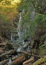 Mingo Falls