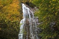 Mingo Falls near Cherokee, North Carolina Royalty Free Stock Photo