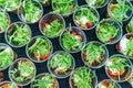 Mini appetizer salad in a glass, tomatoes with mozzarella, arugula and pesto.