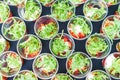 Mini appetizer salad in a glass, tomatoes with mozzarella, arugula and pesto.