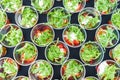 Mini appetizer salad in a glass, tomatoes with mozzarella, arugula and pesto.