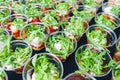 Mini appetizer salad in a glass, tomatoes with mozzarella, arugula and pesto.