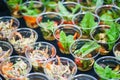 Mini appetizer salad in a glass, tomatoes with mozzarella, arugula and pesto.