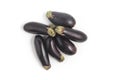 Mini Baby Eggplant Royalty Free Stock Photo