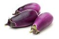 Mini Baby Eggplant Royalty Free Stock Photo