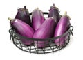 Mini Baby Eggplant Royalty Free Stock Photo