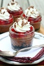 Mini Black Forest Cheesecakes Royalty Free Stock Photo