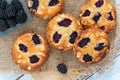 Mini blackberry bakewell tarts Royalty Free Stock Photo