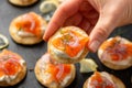 Mini blini pancakes with soft cheese, cold smoked salmon and dill Royalty Free Stock Photo