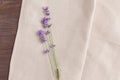 Mini bouquet of fragrant lavender on a beige fabric background. simple flat composition Royalty Free Stock Photo