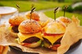 Mini burgers for a children's party or picnic. Royalty Free Stock Photo
