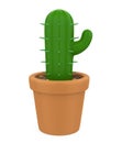 Mini Cactus Plants Isolated