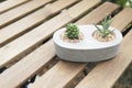 Mini cactus in stone pot with lath table.