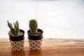 Mini Cactus in vase with mini heart