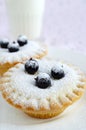 Mini cakes with berries and icing sugar Royalty Free Stock Photo