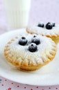 Mini cakes with berries and icing sugar Royalty Free Stock Photo