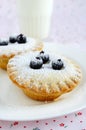 Mini cakes with berries and icing sugar Royalty Free Stock Photo