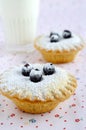 Mini cakes with berries and icing sugar Royalty Free Stock Photo