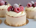 Mini cakes with cream, raspberries and red currants