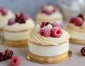 Mini cakes with cream, raspberries and red currants