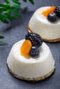 Mini cakes with dried apricots and blackberries on stone slate background close up Royalty Free Stock Photo