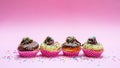 Mini cakes with icing and colorful sprinkles on pink background Royalty Free Stock Photo