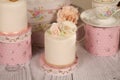 Mini cakes with icing Royalty Free Stock Photo